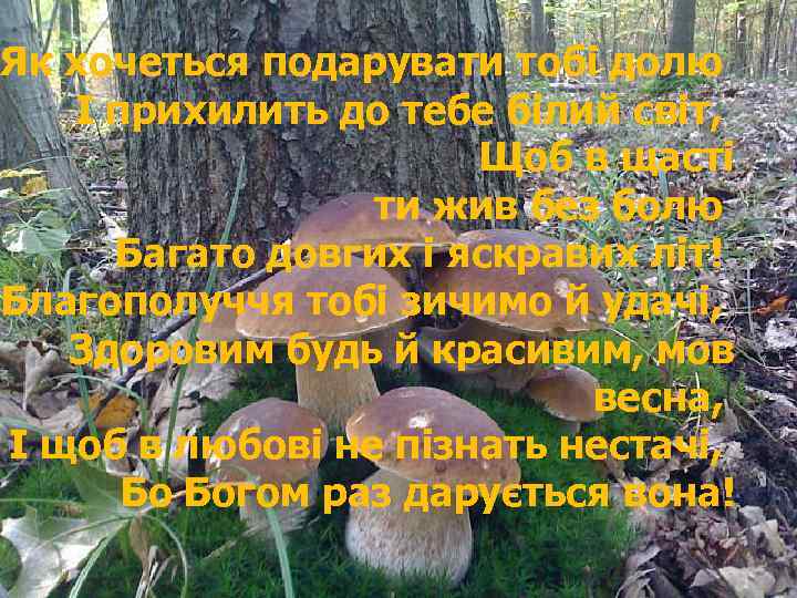 Як хочеться подарувати тобі долю І прихилить до тебе білий світ, Щоб в щасті