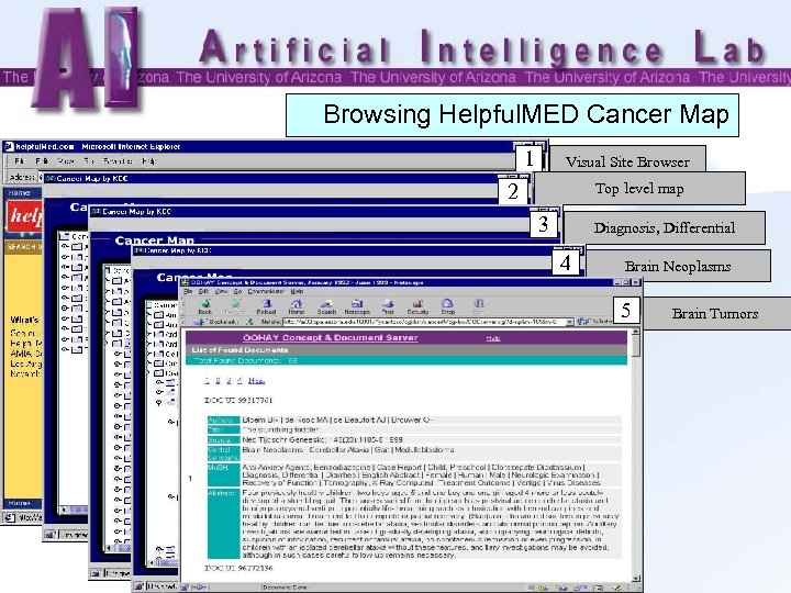 Browsing Helpful. MED Cancer Map 1 Visual Site Browser 2 Top level map 3