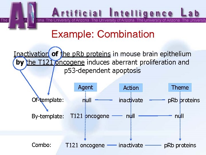 Example: Combination Inactivation of the p. Rb proteins in mouse brain epithelium by the