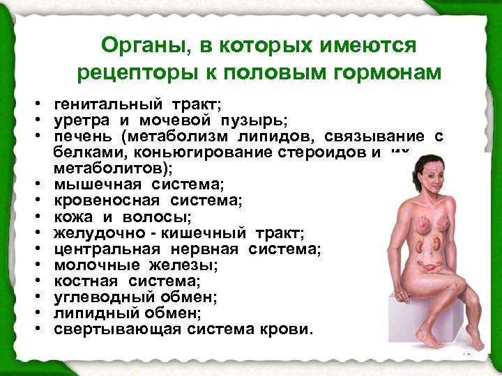 Органы, в которых имеются рецепторы к половым гормонам • генитальный тракт; • уретра и