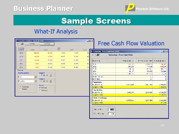 Business Planner Planium Software Ltd. Sample Screens What-If Analysis Free Cash Flow Valuation 14