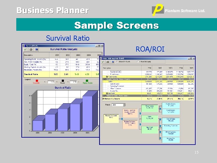 Business Planner Planium Software Ltd. Sample Screens Survival Ratio ROA/ROI 15 