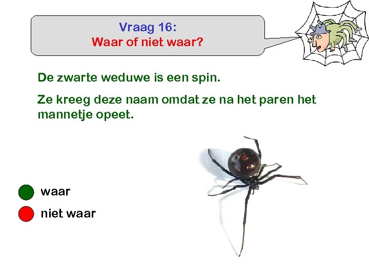 Vraag 16: Waar of niet waar? De zwarte weduwe is een spin. Ze kreeg