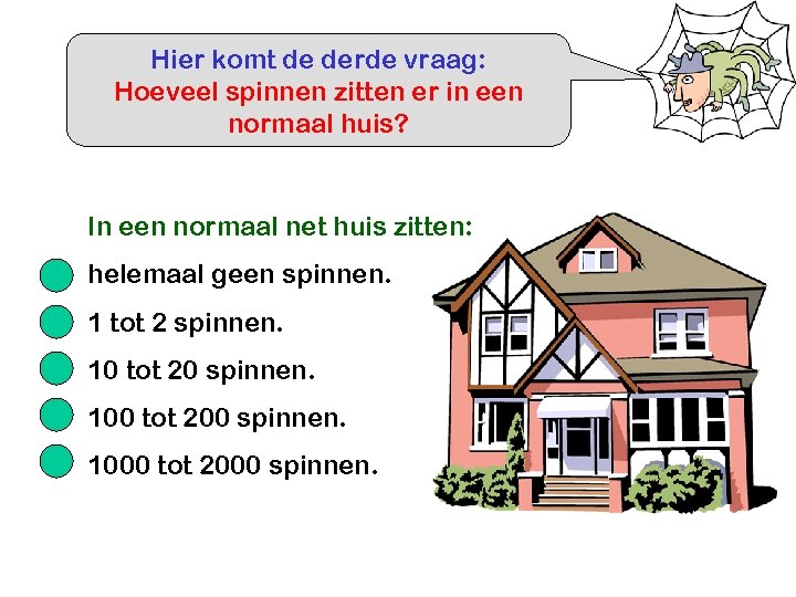 Hier komt de derde vraag: Hoeveel spinnen zitten er in een normaal huis? In