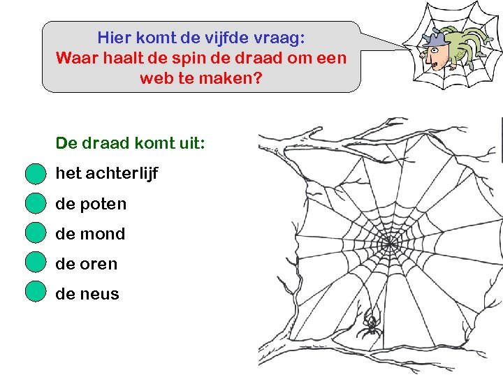 Hier komt de vijfde vraag: Waar haalt de spin de draad om een web