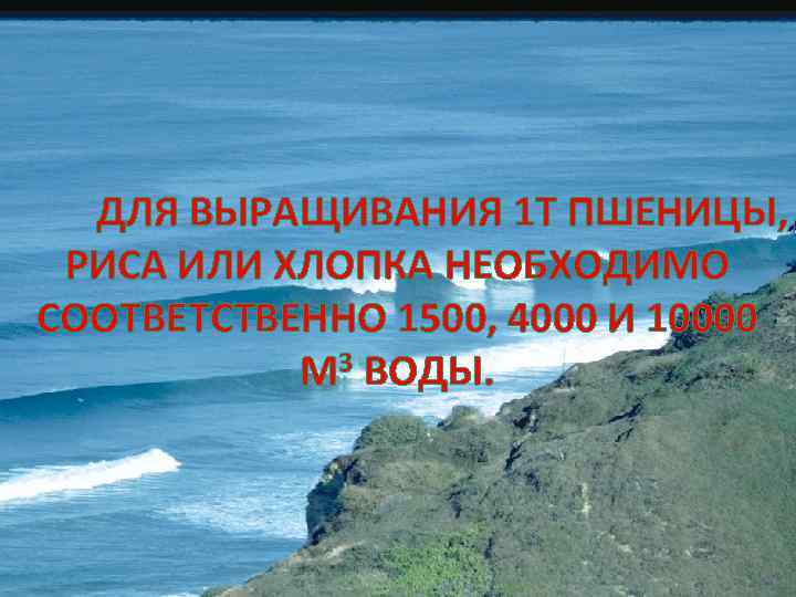 ДЛЯ ВЫРАЩИВАНИЯ 1 Т ПШЕНИЦЫ, РИСА ИЛИ ХЛОПКА НЕОБХОДИМО СООТВЕТСТВЕННО 1500, 4000 И 10000