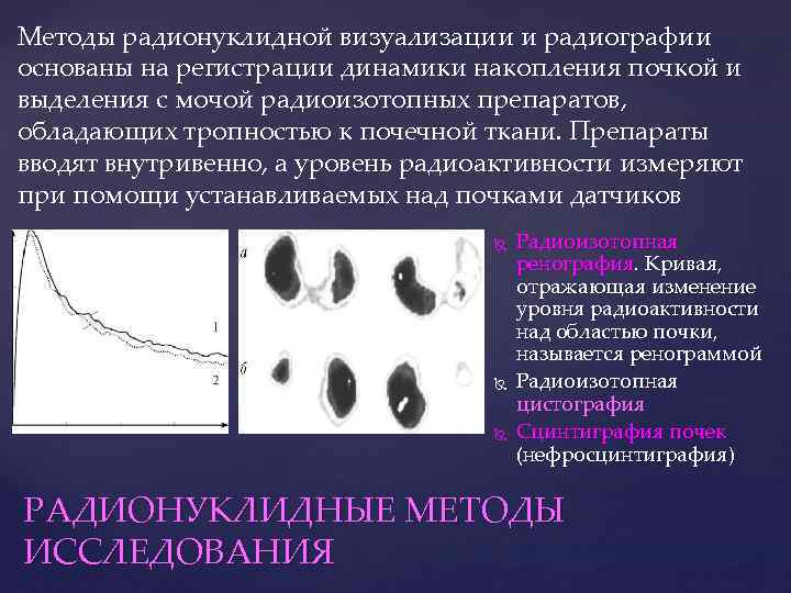 Методы радионуклидной визуализации и радиографии основаны на регистрации динамики накопления почкой и выделения с