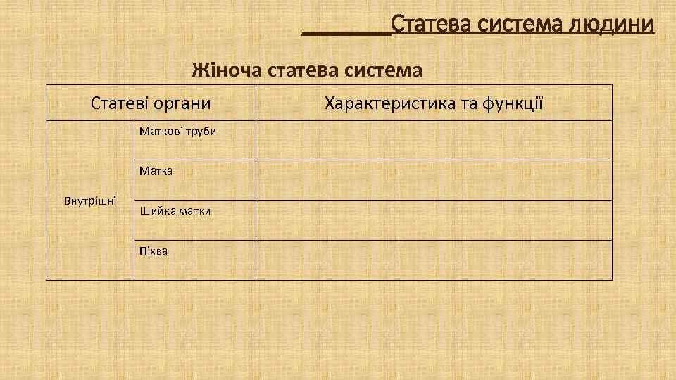 _______Статева система людини Жіноча статева система Статеві органи Маткові труби Матка Внутрішні Шийка матки