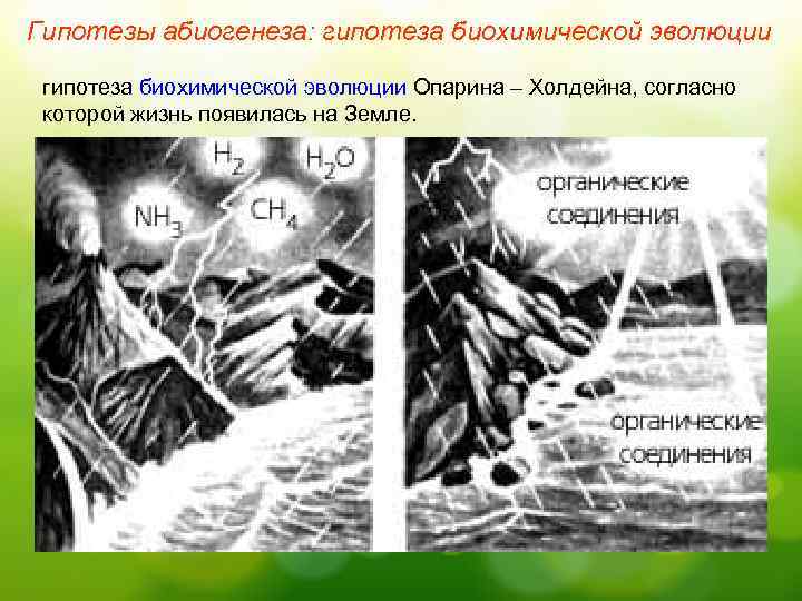 Гипотеза биохимической эволюции презентация