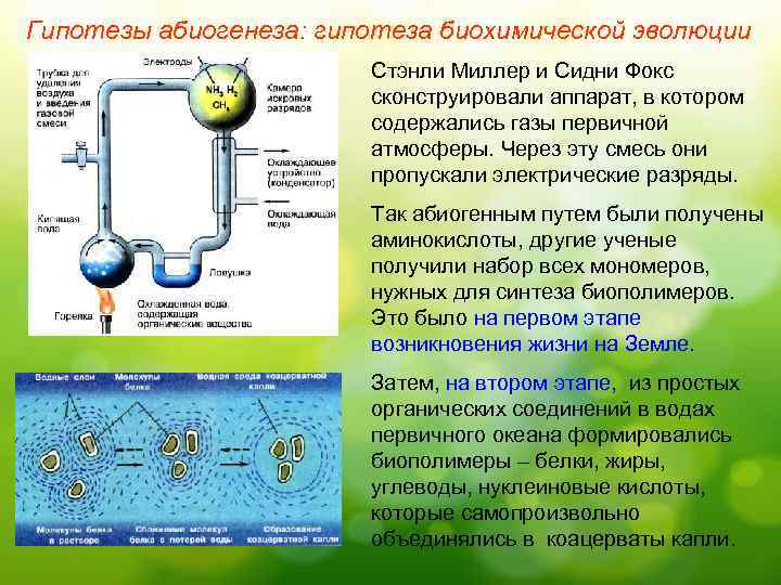 Абиогенез картинки для презентации