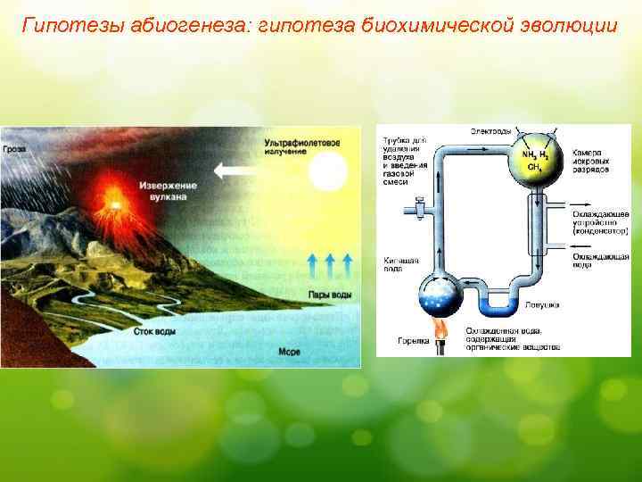 Гипотезы абиогенеза: гипотеза биохимической эволюции 
