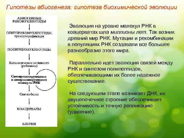 Схема биохимической эволюции