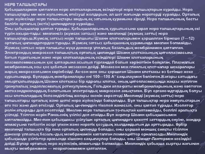 НЕРВ ТАЛШЫҚТАРЫ Қабықшалармен қапталған нерв клеткаларының өсінділері нерв талшықтарын күрайды. Нерв талшықтары ми мен