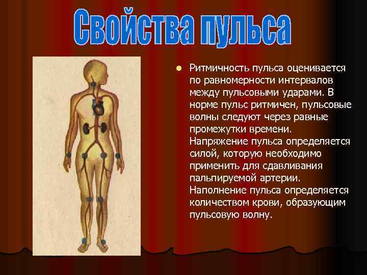 l Ритмичность пульса оценивается по равномерности интервалов между пульсовыми ударами. В норме пульс ритмичен,