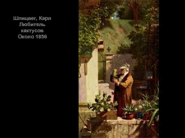 Шпицвег, Карл Любитель кактусов Около 1856 