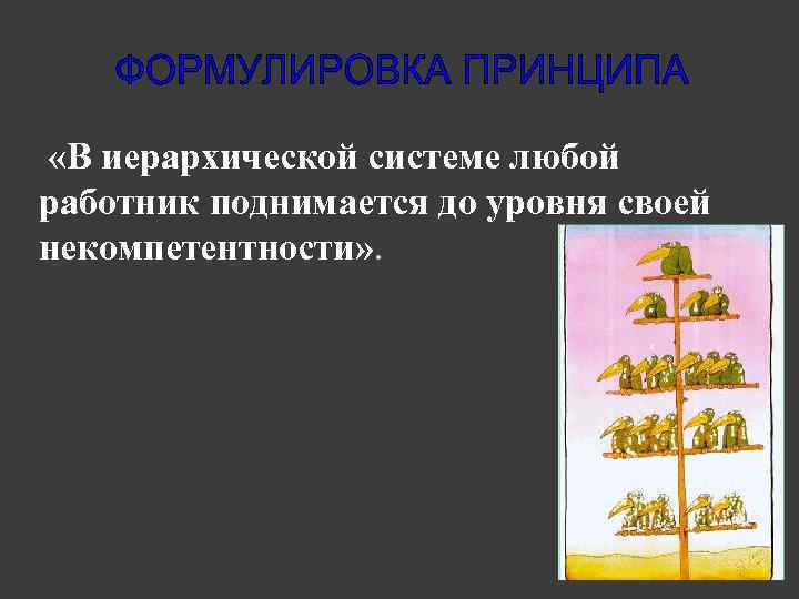  «В иерархической системе любой работник поднимается до уровня своей некомпетентности» . 