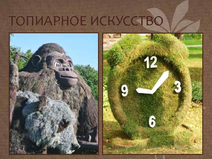 ТОПИАРНОЕ ИСКУССТВО 