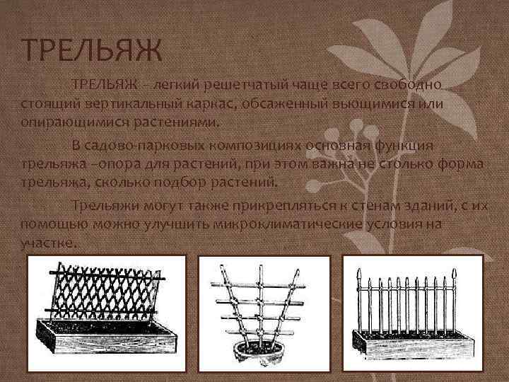 ТРЕЛЬЯЖ – легкий решетчатый чаще всего свободно стоящий вертикальный каркас, обсаженный вьющимися или опирающимися