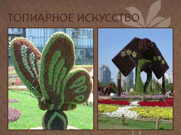 ТОПИАРНОЕ ИСКУССТВО 