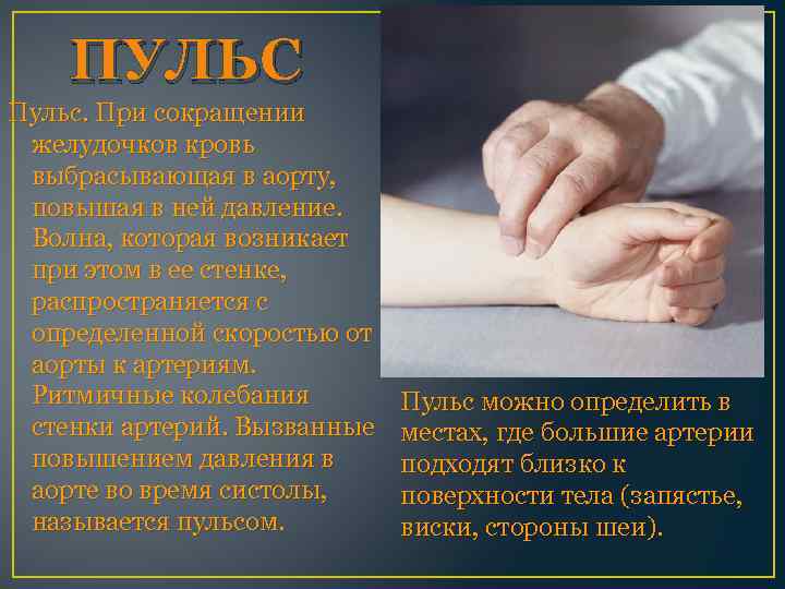 ПУЛЬС Пульс. При сокращении желудочков кровь выбрасывающая в аорту, повышая в ней давление. Волна,