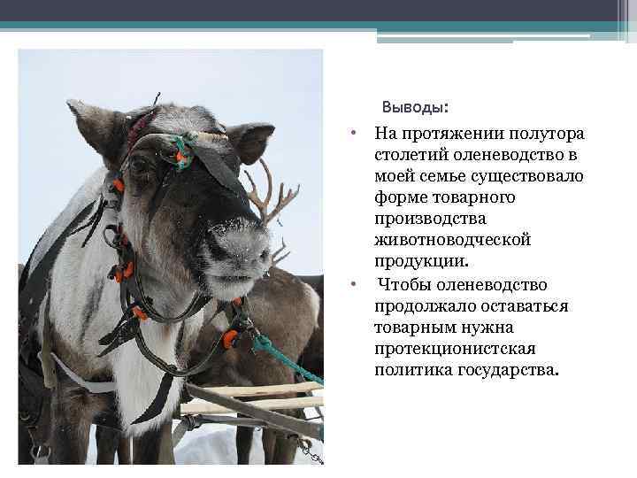 Выводы: • На протяжении полутора столетий оленеводство в моей семье существовало форме товарного производства