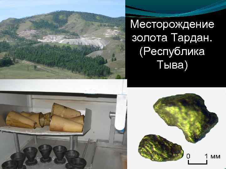 Месторождение золота Тардан. (Республика Тыва) 