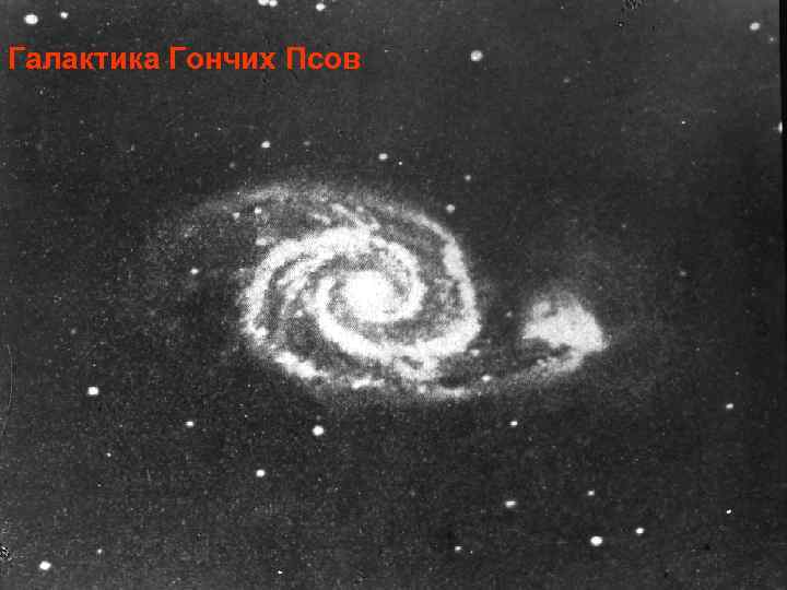 Галактика Гончих Псов 