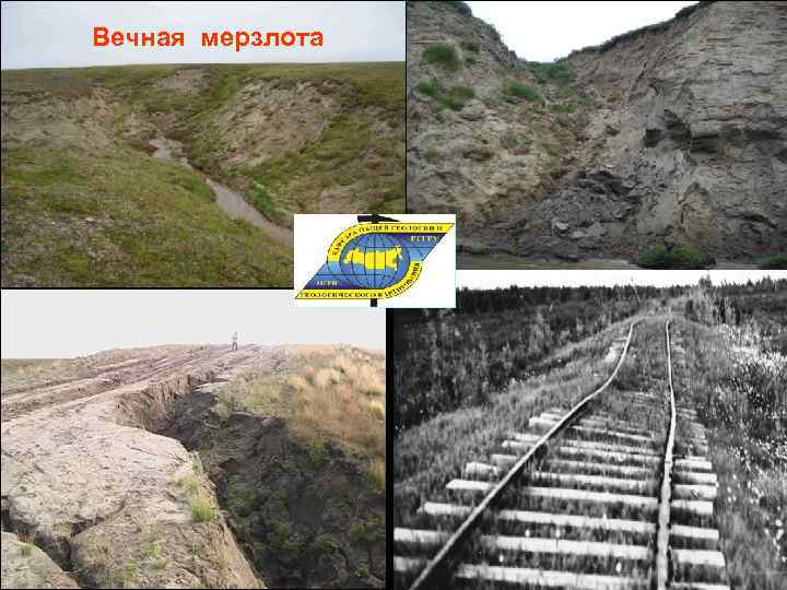 Вечная мерзлота 