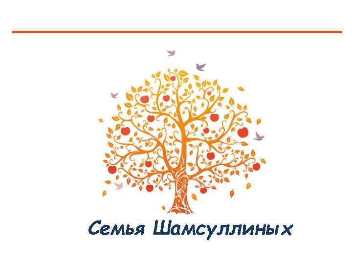 Семья Шамсуллиных 