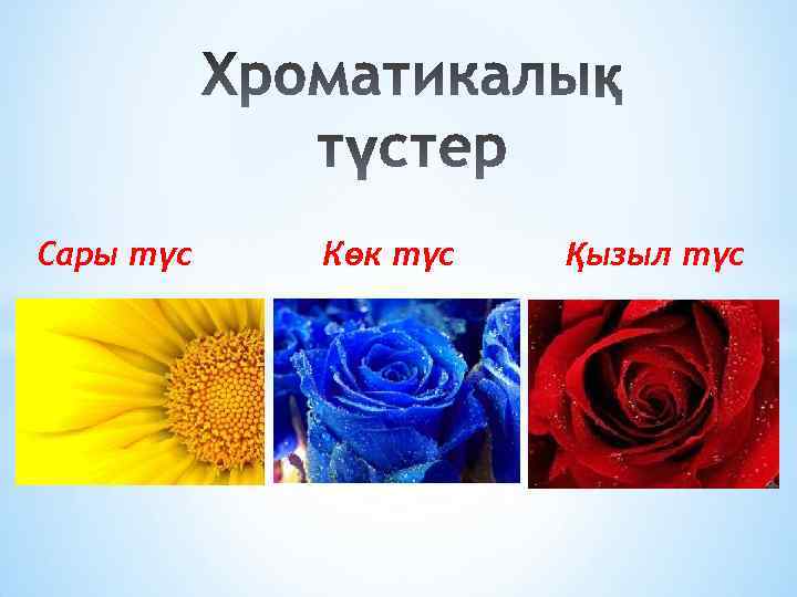 Сары түс Көк түс Қызыл түс 