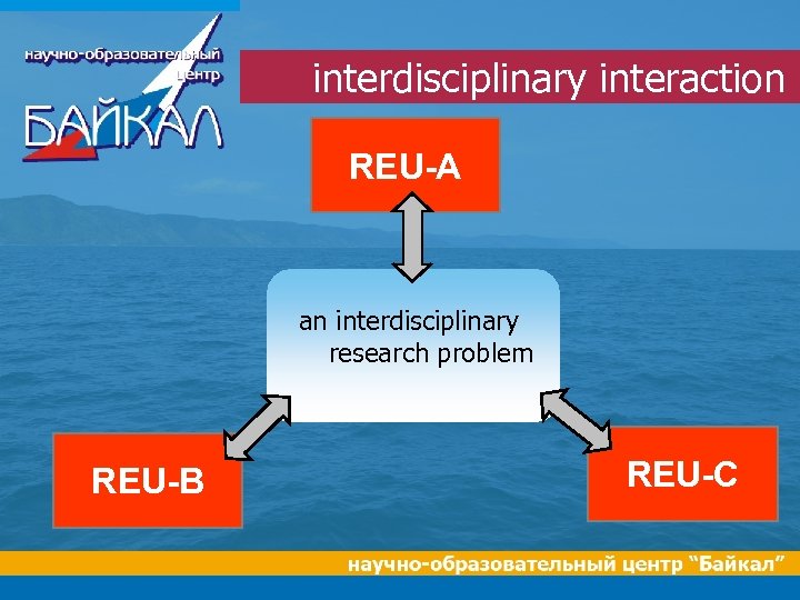 interdisciplinary interaction REU-A an interdisciplinary research problem REU-B REU-C 