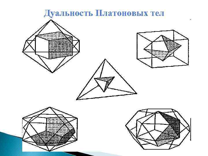 Платоновы тела проект