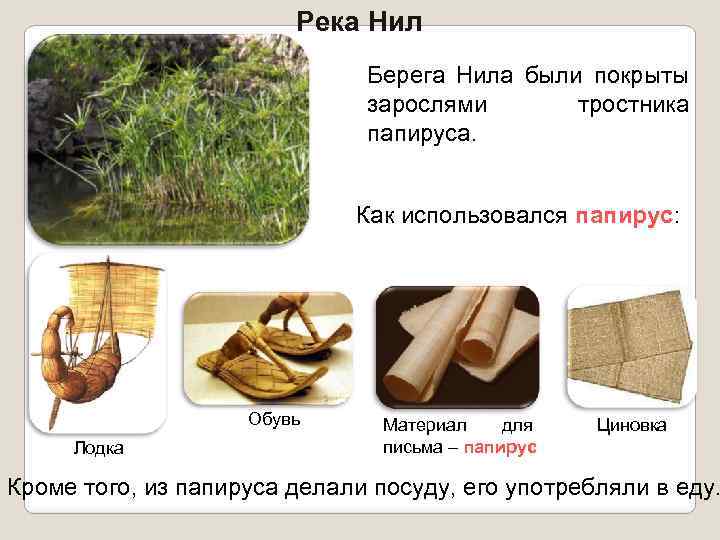 Река Нил Берега Нила были покрыты зарослями тростника папируса. Как использовался папирус: Обувь Лодка