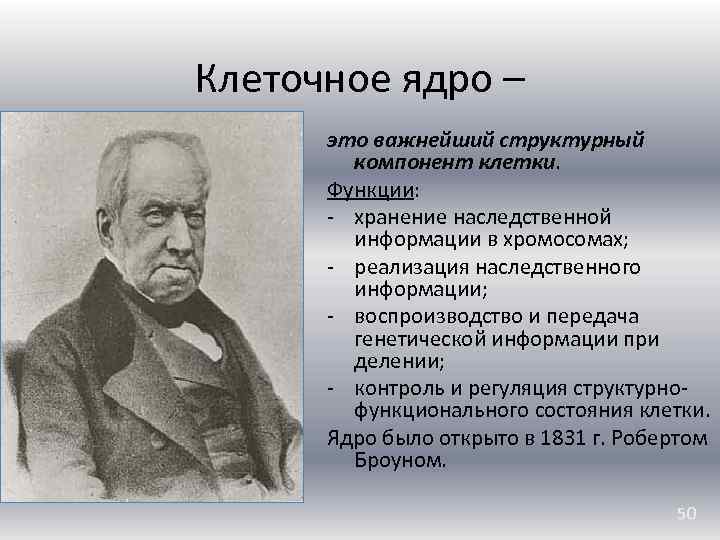 Клеточное ядро – Роберт Броун это важнейший структурный компонент клетки. Функции: - хранение наследственной