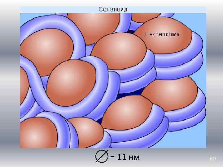 = 11 нм 60 