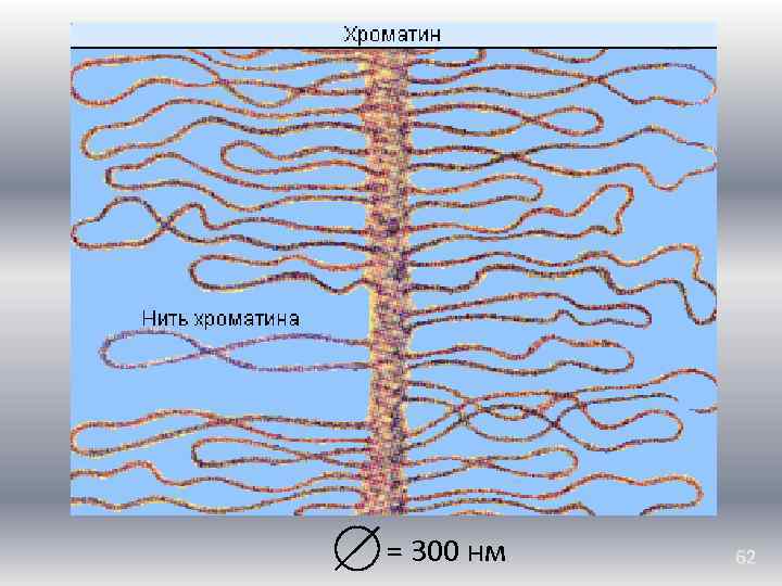 = 300 нм 62 
