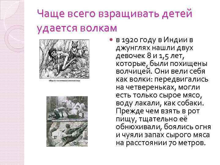 Чаще всего взращивать детей удается волкам в 1920 году в Индии в джунглях нашли