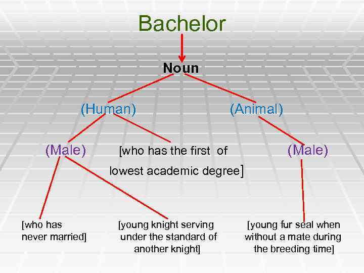 Bachelor Noun (Human) (Animal) (Male) [who has the first of (Male) lowest academic degree]