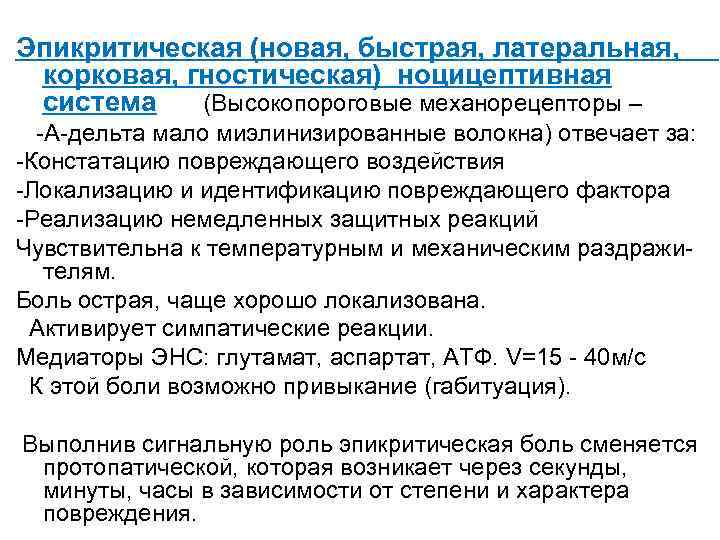 Эпикритическая (новая, быстрая, латеральная, корковая, гностическая) ноцицептивная система (Высокопороговые механорецепторы – -А-дельта мало миэлинизированные
