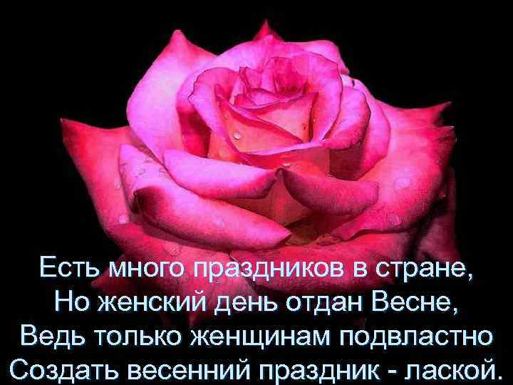 Есть много праздников в стране, Но женский день отдан Весне, Ведь только женщинам подвластно