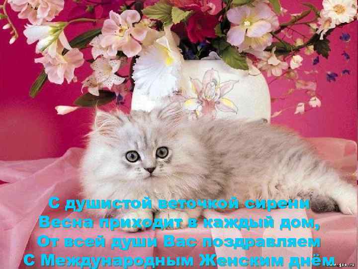 С душистой веточкой сирени Весна приходит в каждый дом, От всей души Вас поздравляем