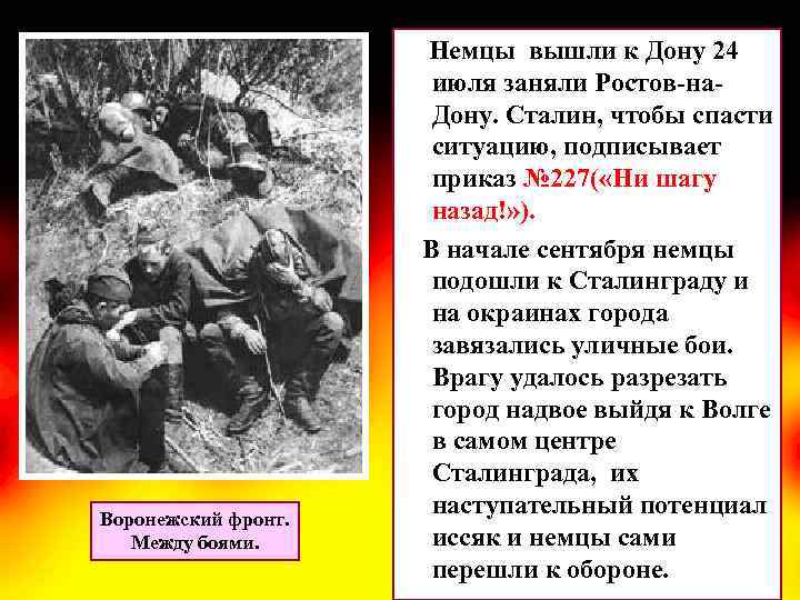 Воронежский фронт. Между боями. Немцы вышли к Дону 24 июля заняли Ростов-на. Дону. Сталин,