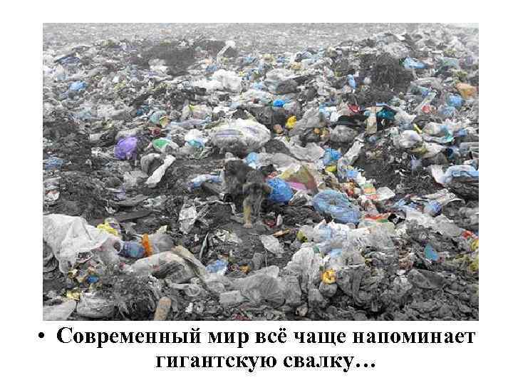 • Современный мир всё чаще напоминает гигантскую свалку… 