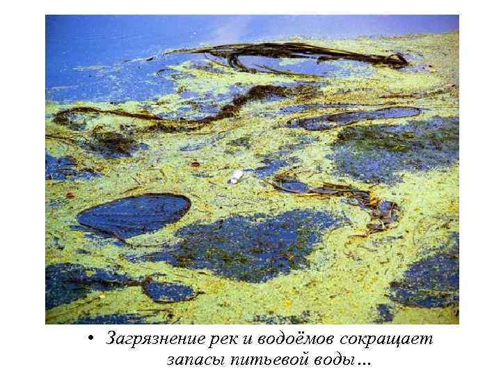  • Загрязнение рек и водоёмов сокращает запасы питьевой воды… 