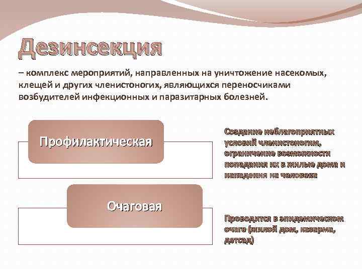 Дезинсекция это комплекс мероприятий направленных