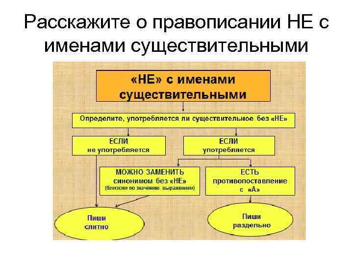 Расскажите о правописании НЕ с именами существительными 