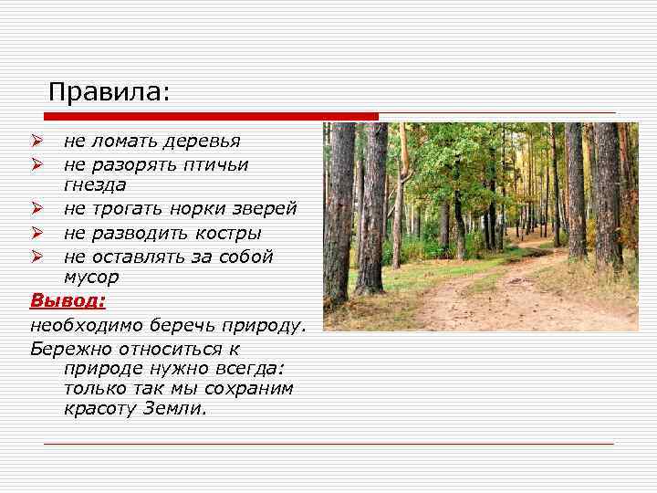 Правила: не ломать деревья не разорять птичьи гнезда Ø не трогать норки зверей Ø