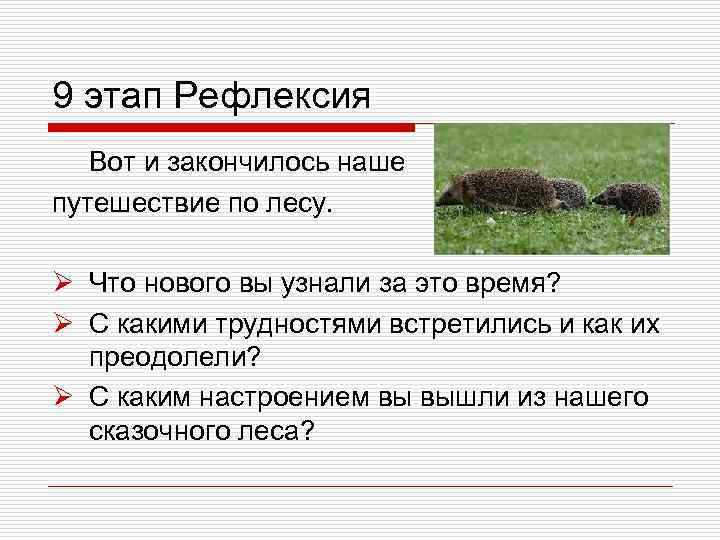 9 этап Рефлексия Вот и закончилось наше путешествие по лесу. Ø Что нового вы