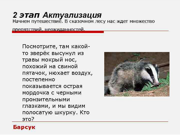2 этап Актуализация Начнем путешествие. В сказочном лесу нас ждет множество препятствий, неожиданностей. Посмотрите,