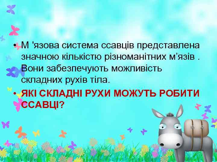  • М 'язова система ссавців представлена значною кількістю різноманітних м’язів. Вони забезпечують можливість
